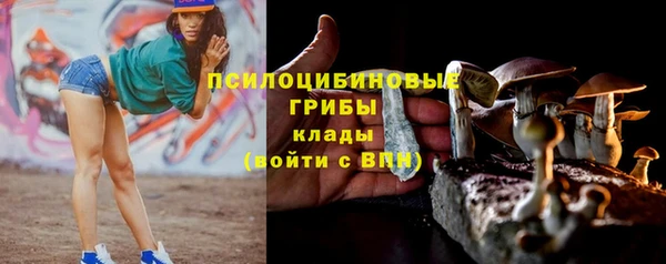 твердый Аркадак