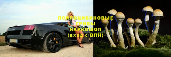 apvp Балахна