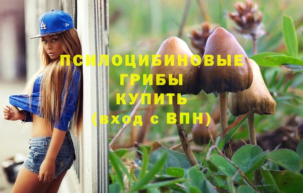 прущие крисы Баксан